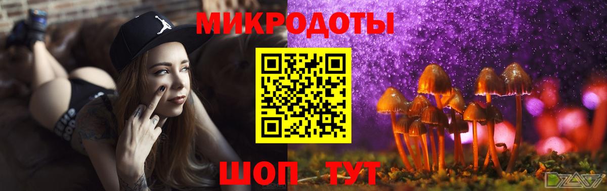 Галлюциногенные грибы Cubensis Семилуки